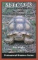 "Sulcatas - African Spurred Tortoises in Captivity" Book