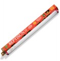 ZooMed Reptisun 5.0 UVB Bulb"